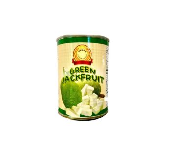 Annam Green Jackfruit 565g