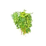 Neem Leaves 250g